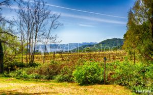 Wine Country Lodging in Bodega Bay, CA | Sonoma Coast Villa Resort & Spa