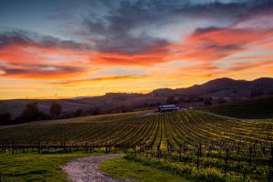 Wine Country Lodging in Sonoma County, CA | Sonoma Coast Villa Resort & Spa